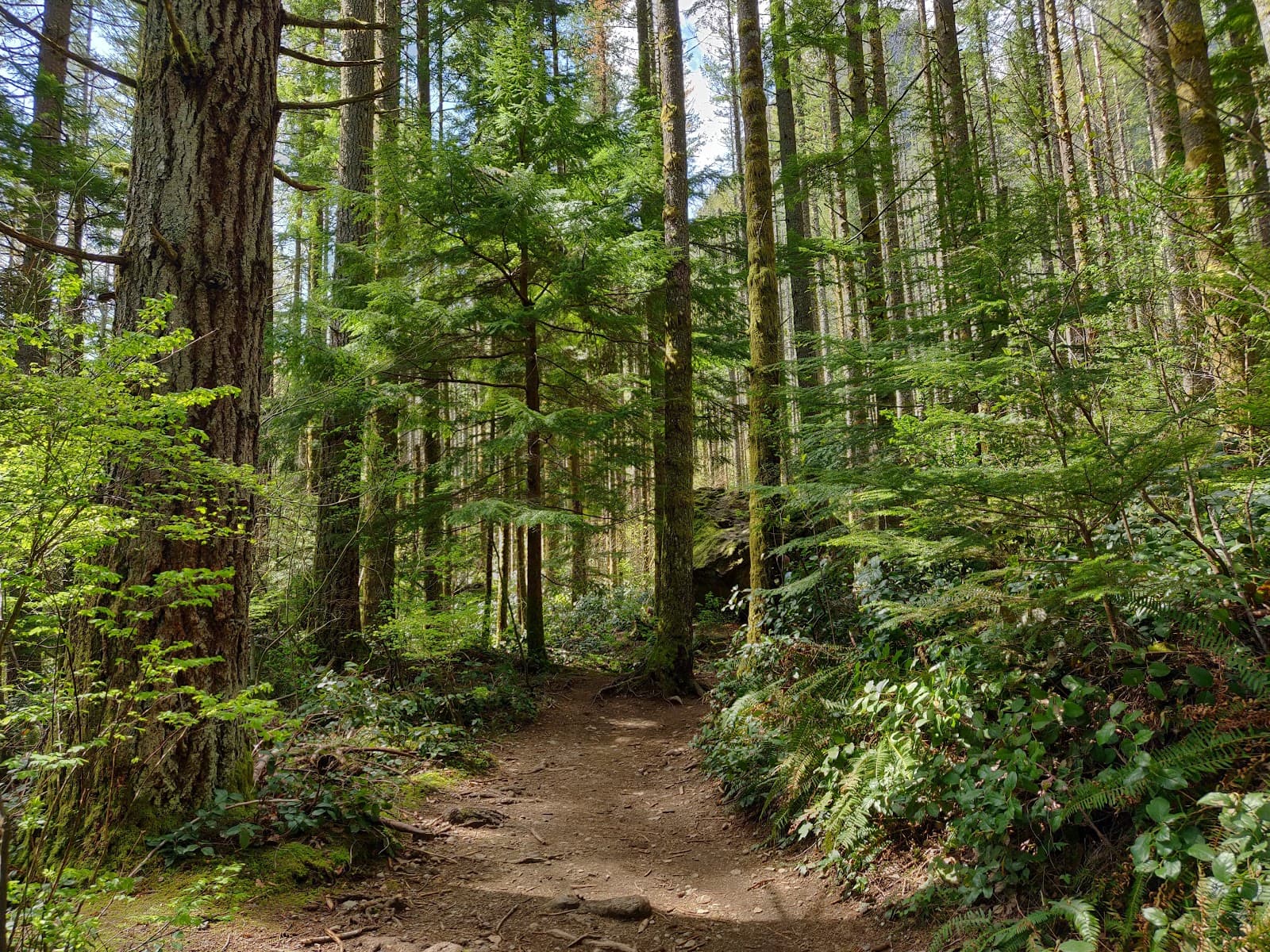 Rattlesnake Ledge - Image 1