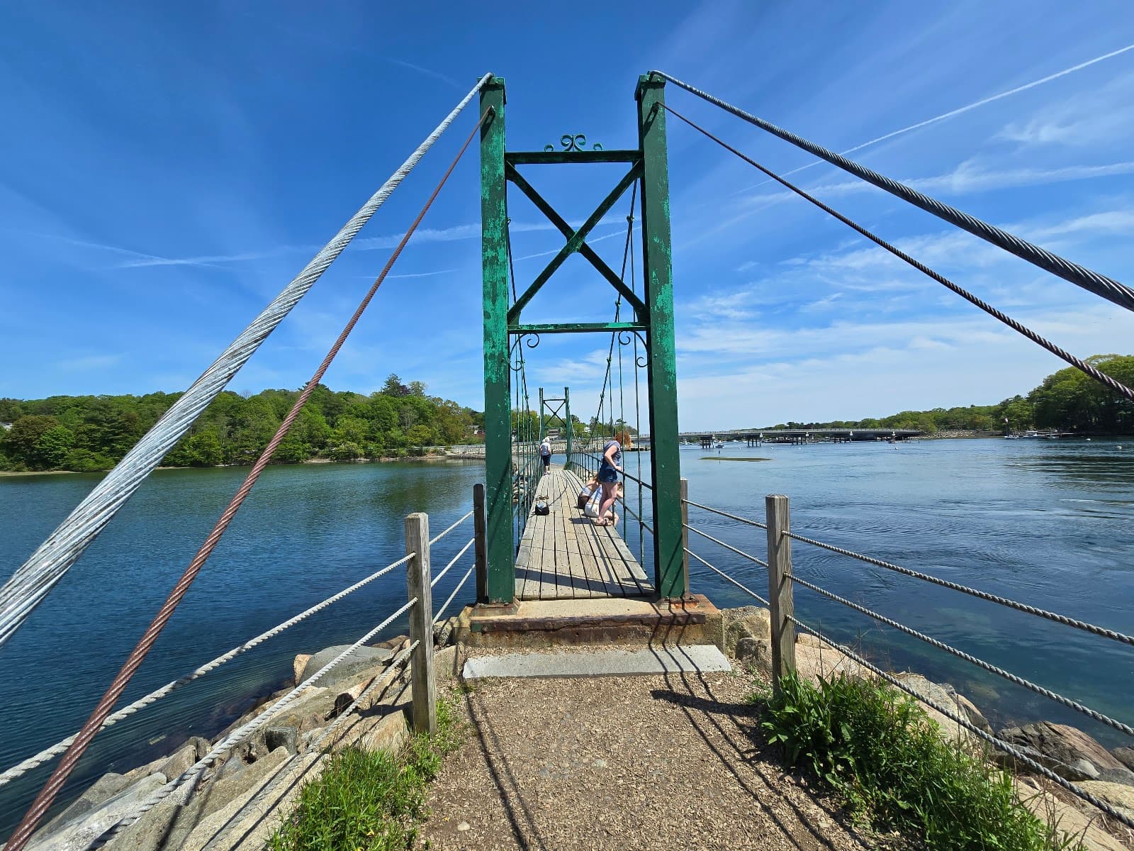 Wiggly Bridge & Steedman Woods - Image 1