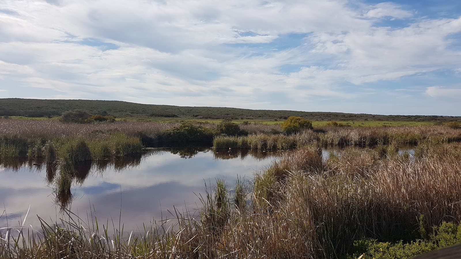 Abrahamskraal Waterhole & Hide - Image 1