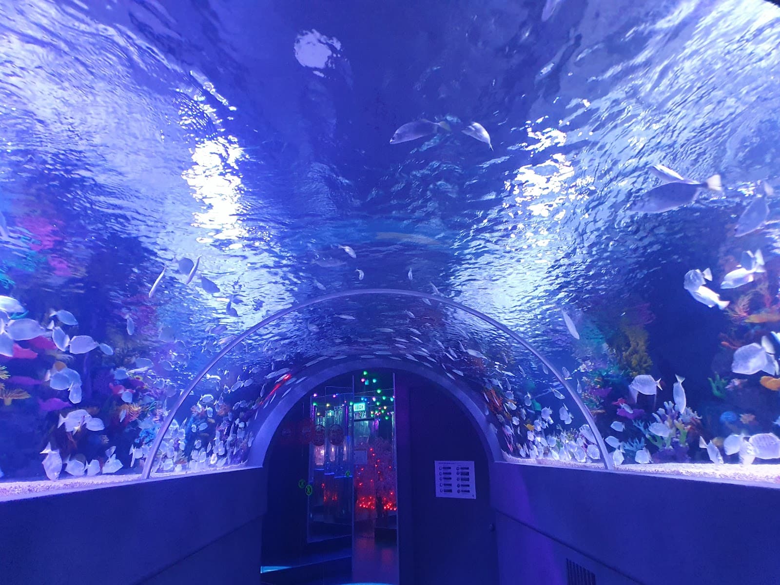 The Shore Oceanarium - Image 1