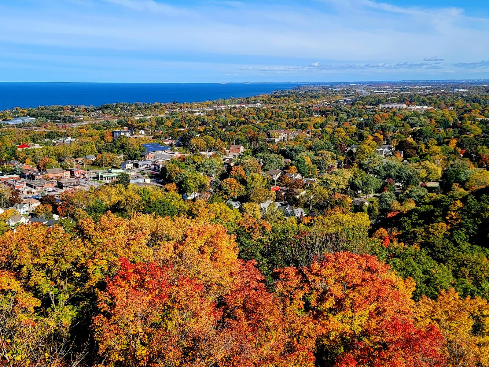 Beamer Memorial Conservation Area (Grimsby) - Image 1
