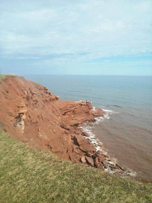 Coastal Flora and Fauna