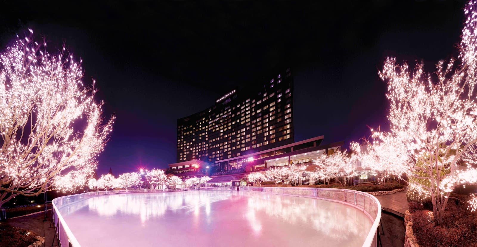 Grand Hyatt Seoul Ice Rink - Image 1