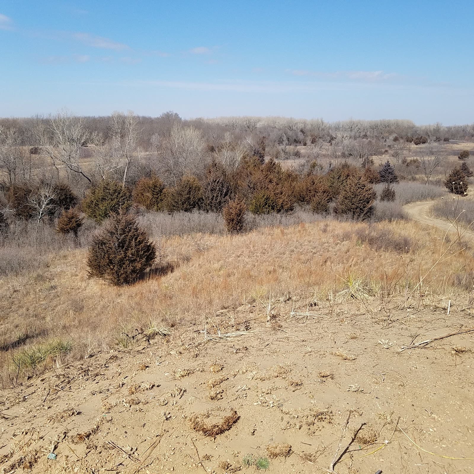 Sand Hills State Park - Image 1