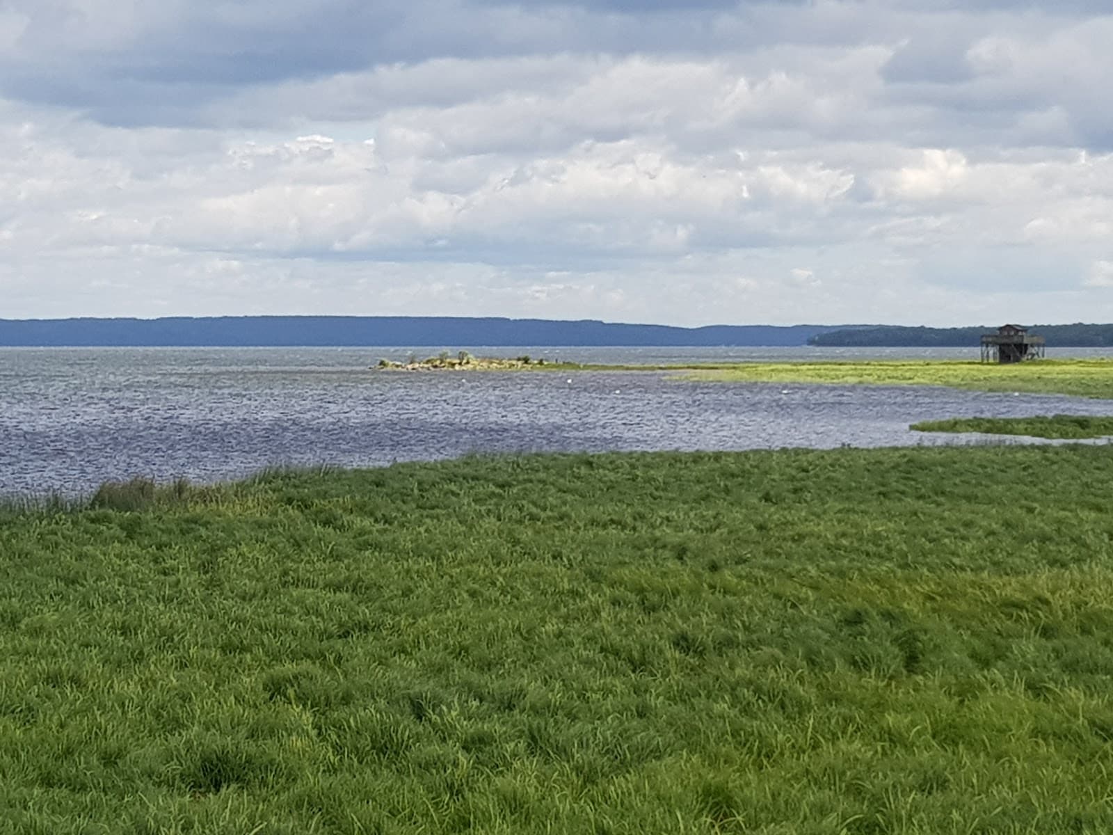Svartåmynningen Nature Reserve - Image 1