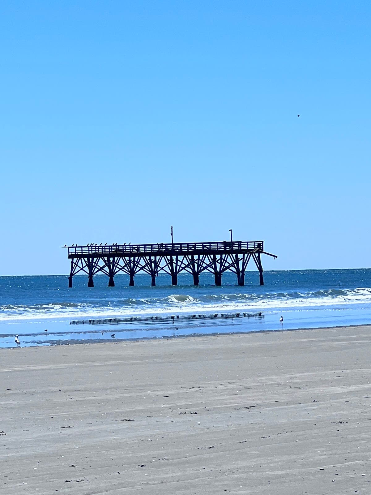 The Point Cherry Grove - Image 1