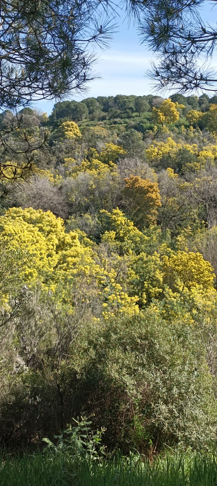 Parc de la Croix des Gardes - Image 1
