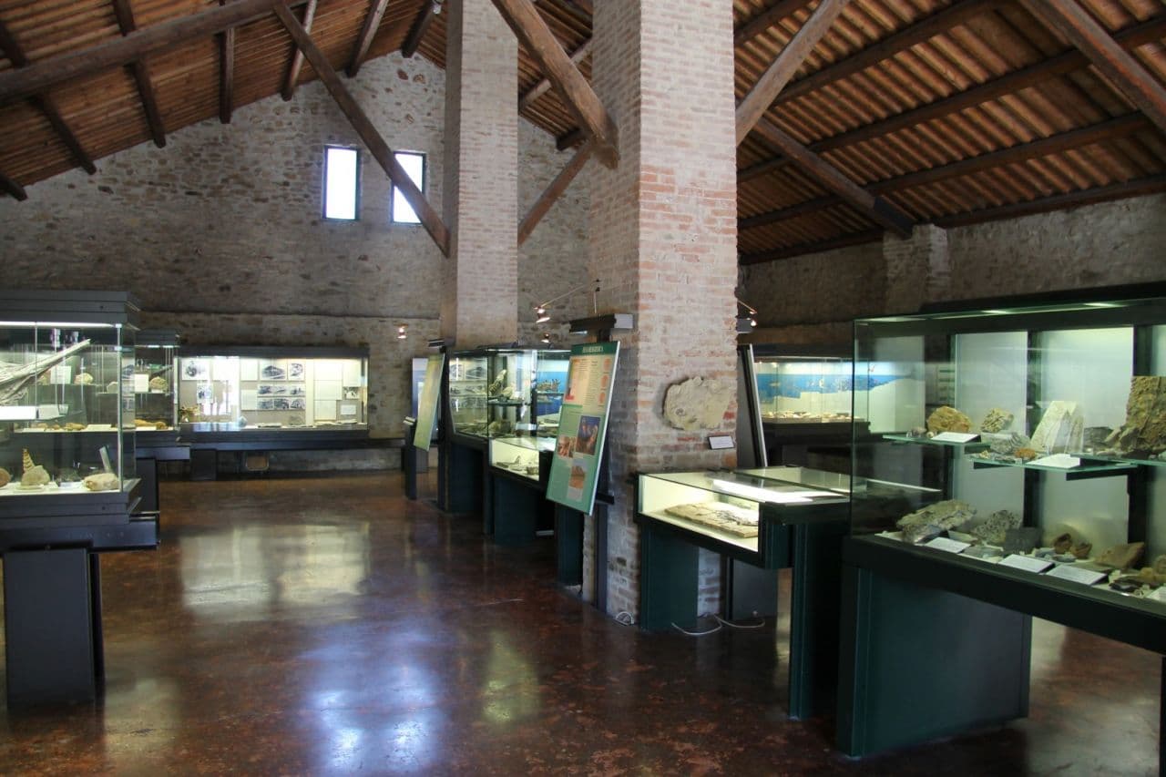 Museo Geopaleontologico Cava Bomba - Image 1