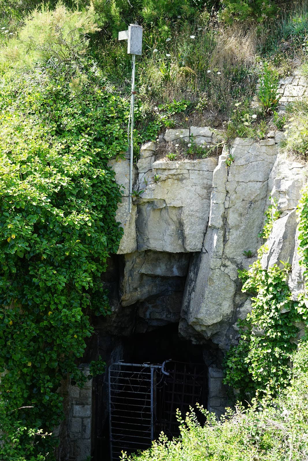 Vertical photo