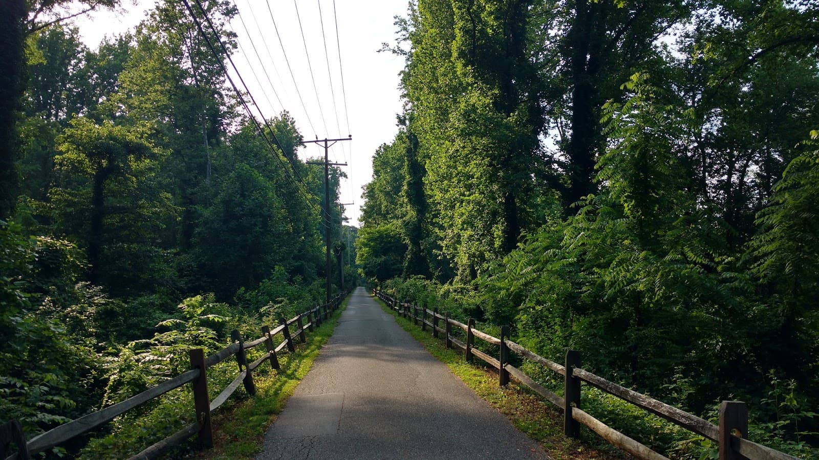 Baltimore and Annapolis Trail - Image 1
