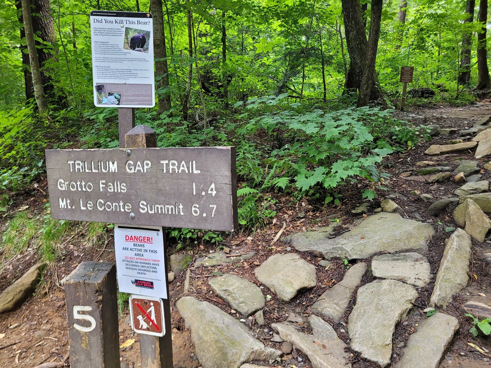 Trillium Gap Trail Great Smoky Mountains National Park - Image 1