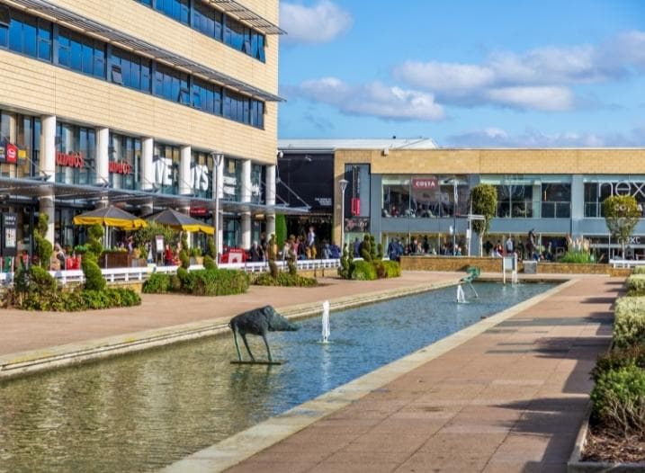 Epping Forest - Image 1