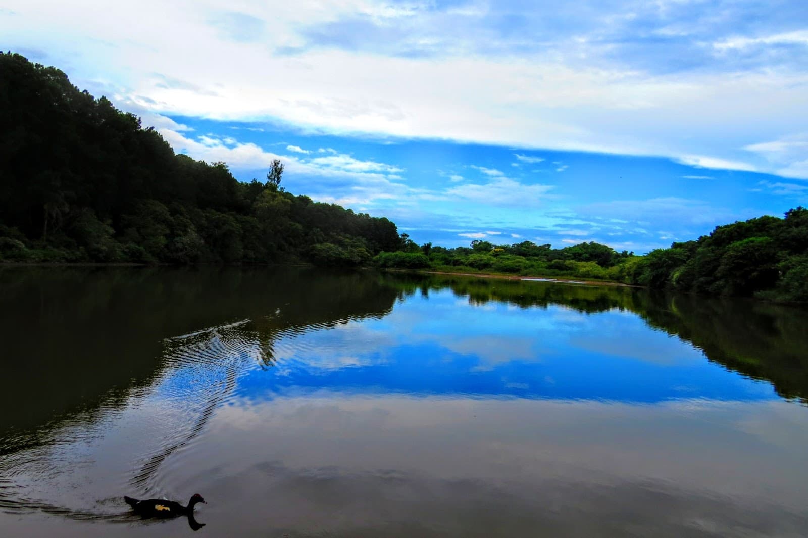 Federal University of São Carlos - Image 1