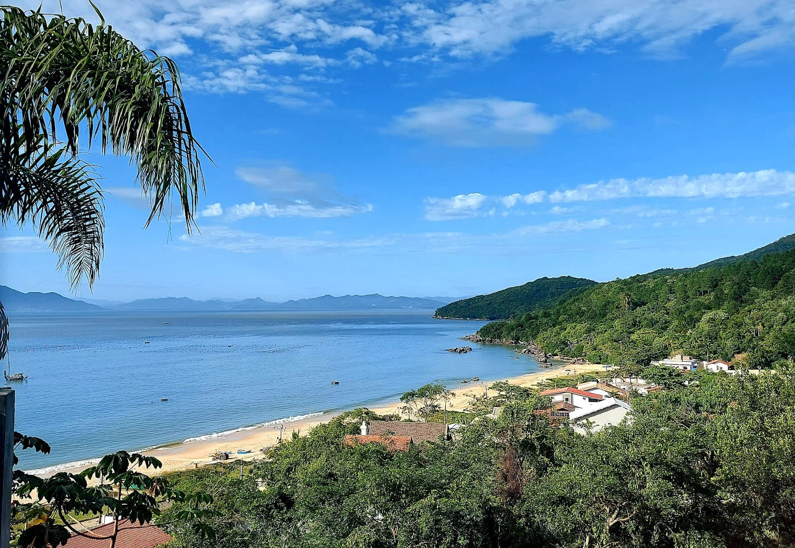 Praia de Zimbros - Image 1