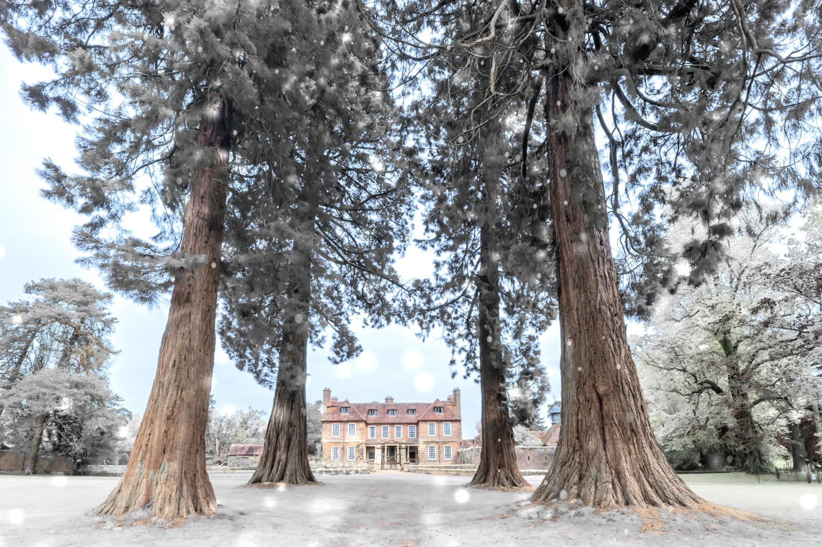 Groombridge Place and Gardens - Image 1