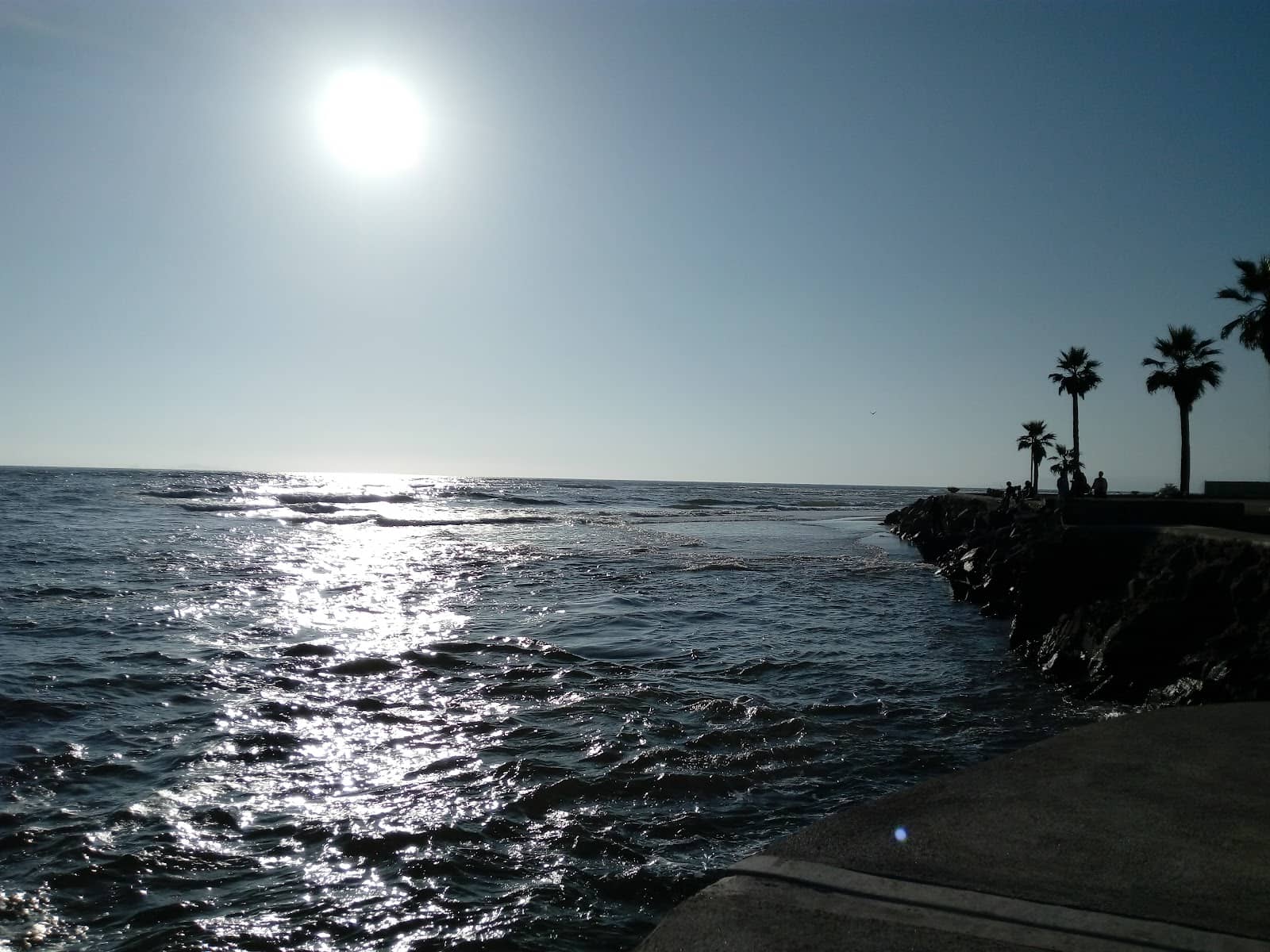 Scenic Coastal Drive