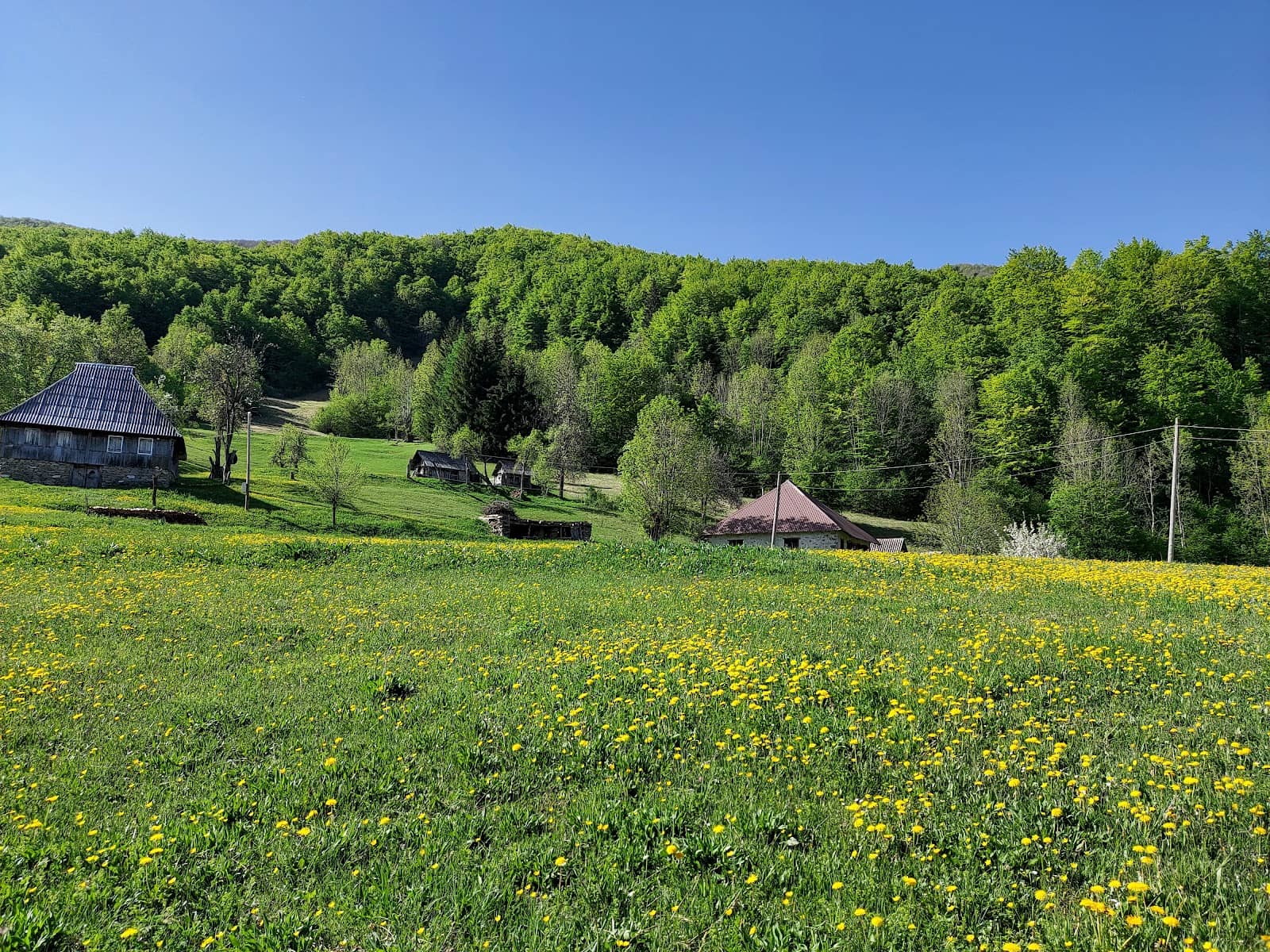Panoramic Vistas
