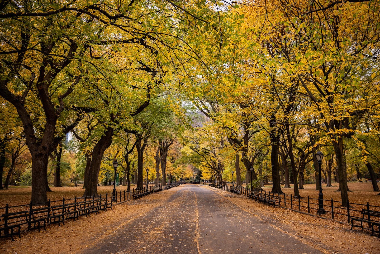 Literary Walk - Image 1