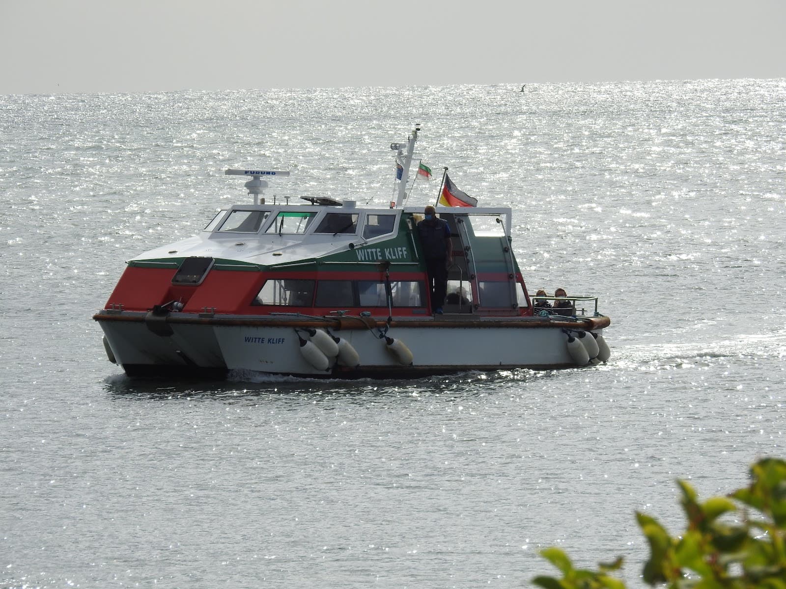 Seal Colony (Düne) - Image 1