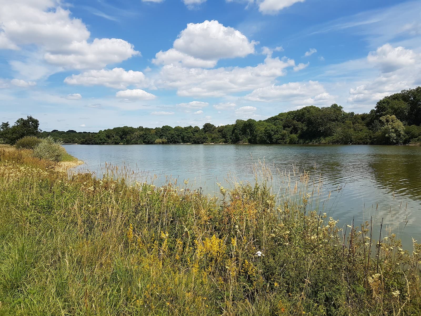 Sutton Bingham Reservoir - Image 1