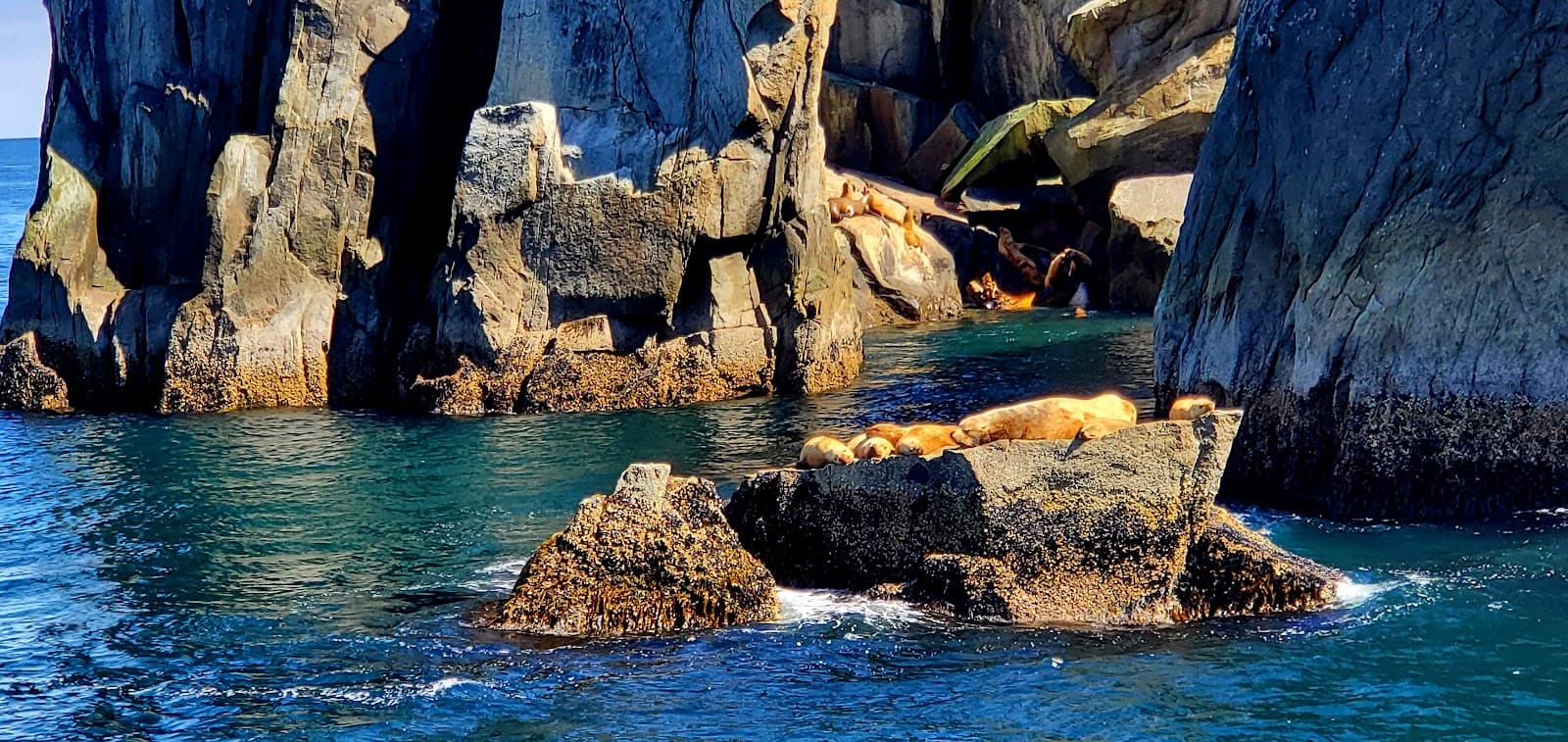 Resurrection Bay Alaska - Image 1