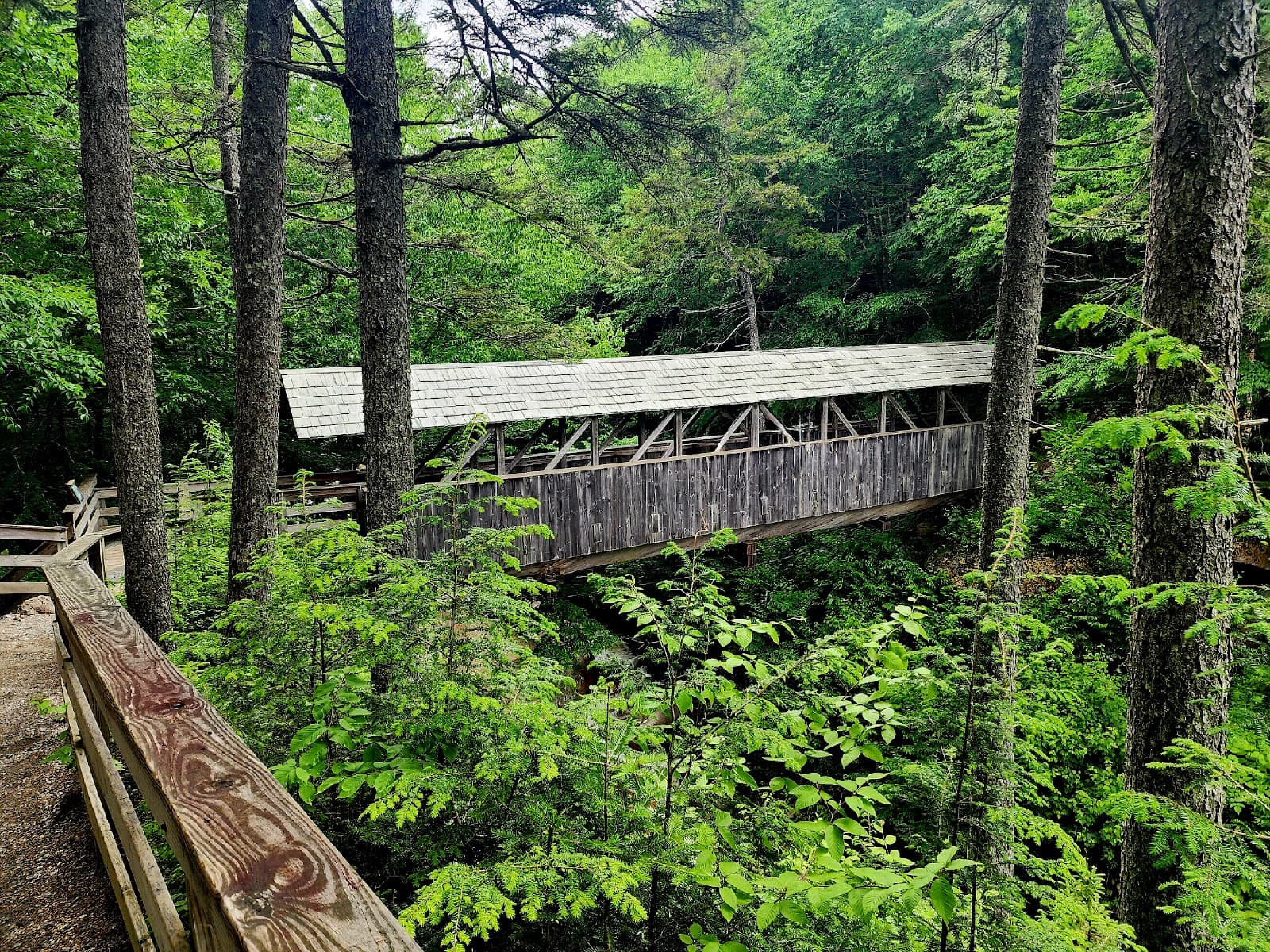 Sentinel Pine Covered Bridge - Image 1