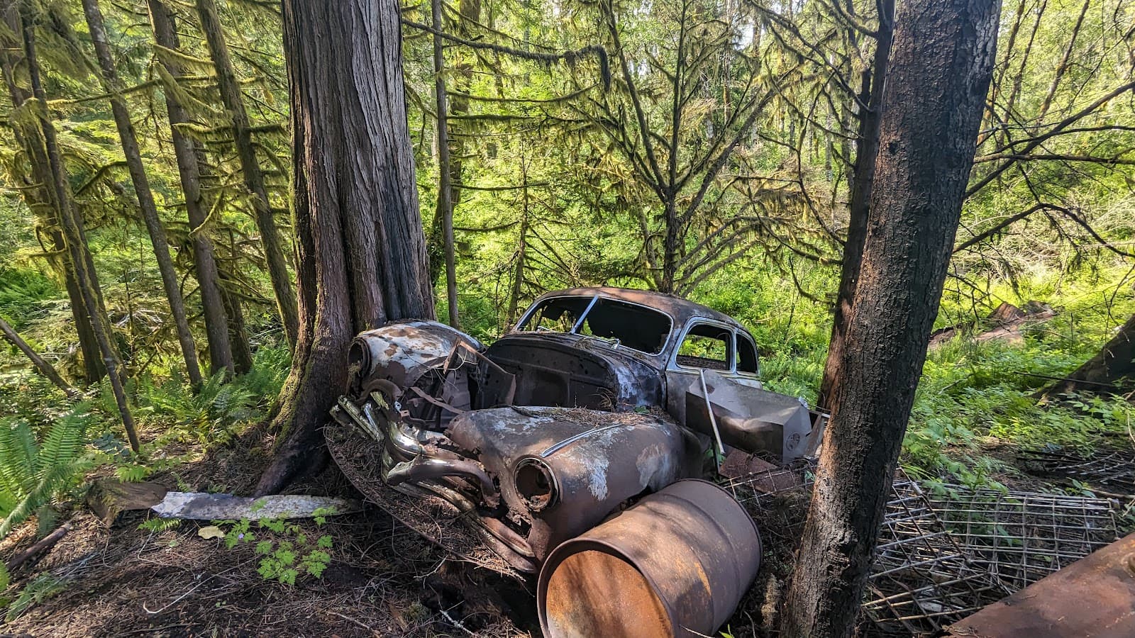 Cumberland Chinatown Townsite - Image 1