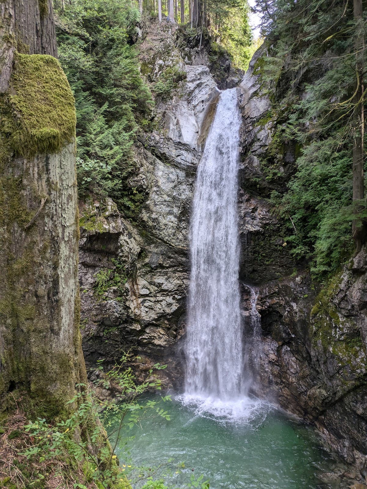 Cascade Falls Regional Park - Image 1