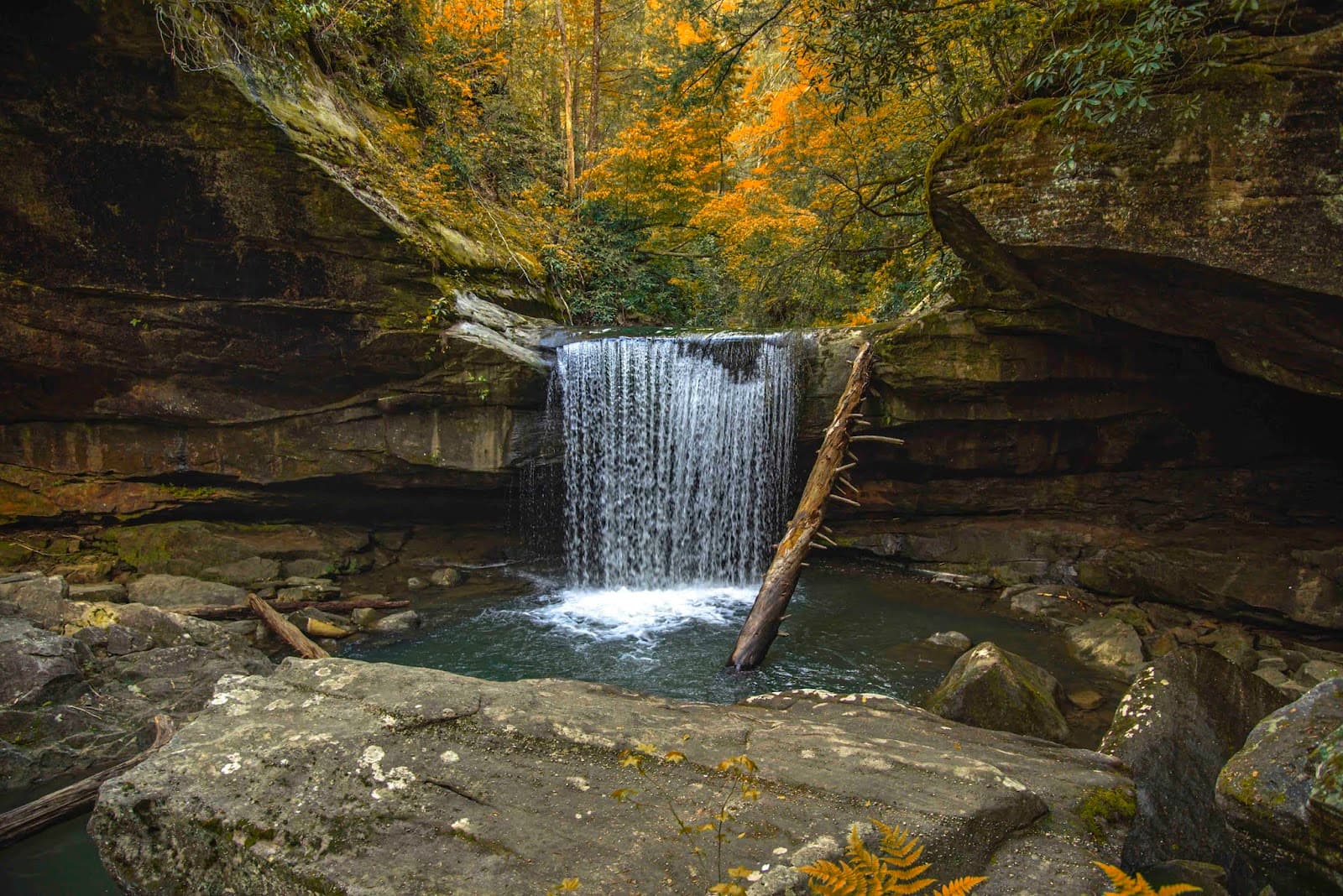 Dog Slaughter Falls - Image 1