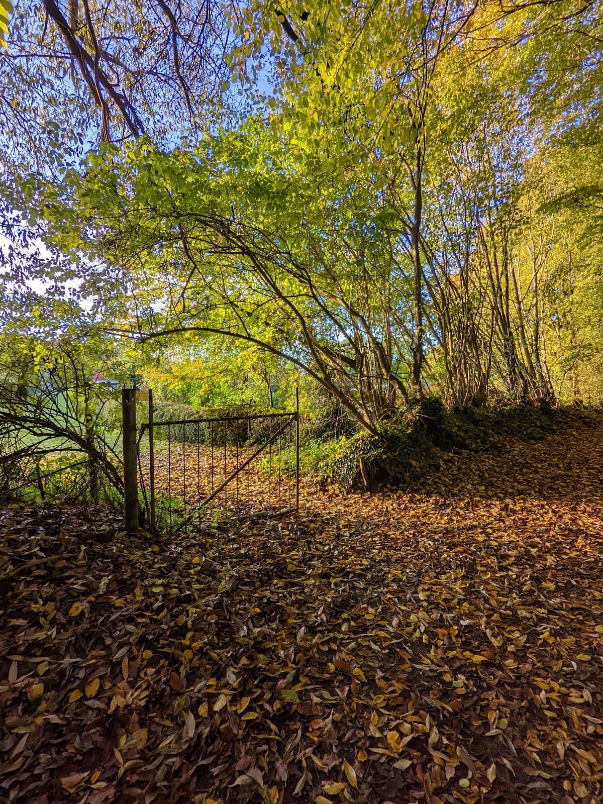 Ellerbek/Wellingdorf (neighborhood) - Image 1