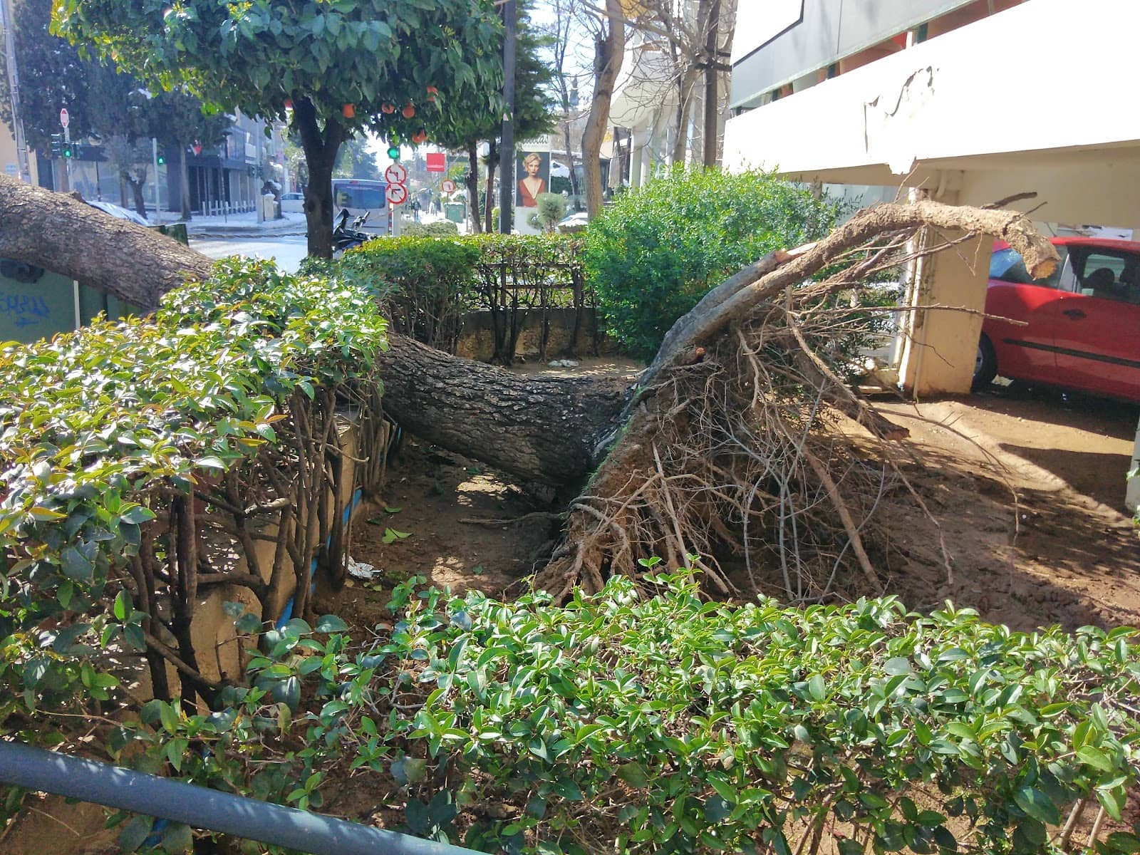 Chalandri's Shopping Streets