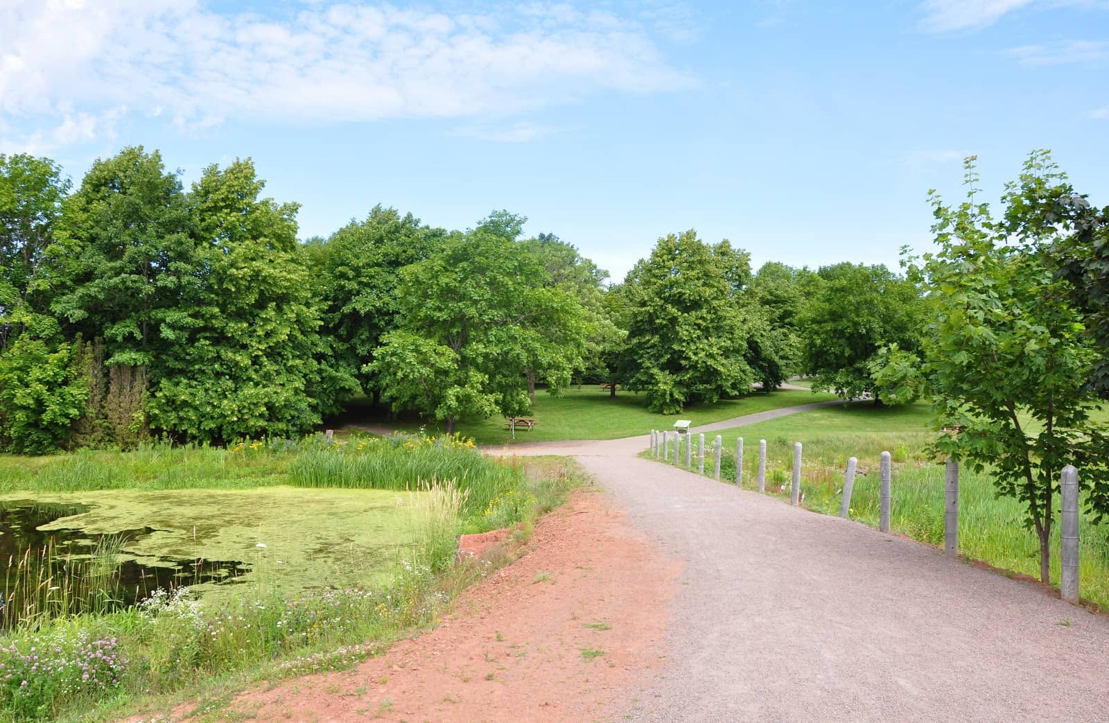 Cavendish Beach Access