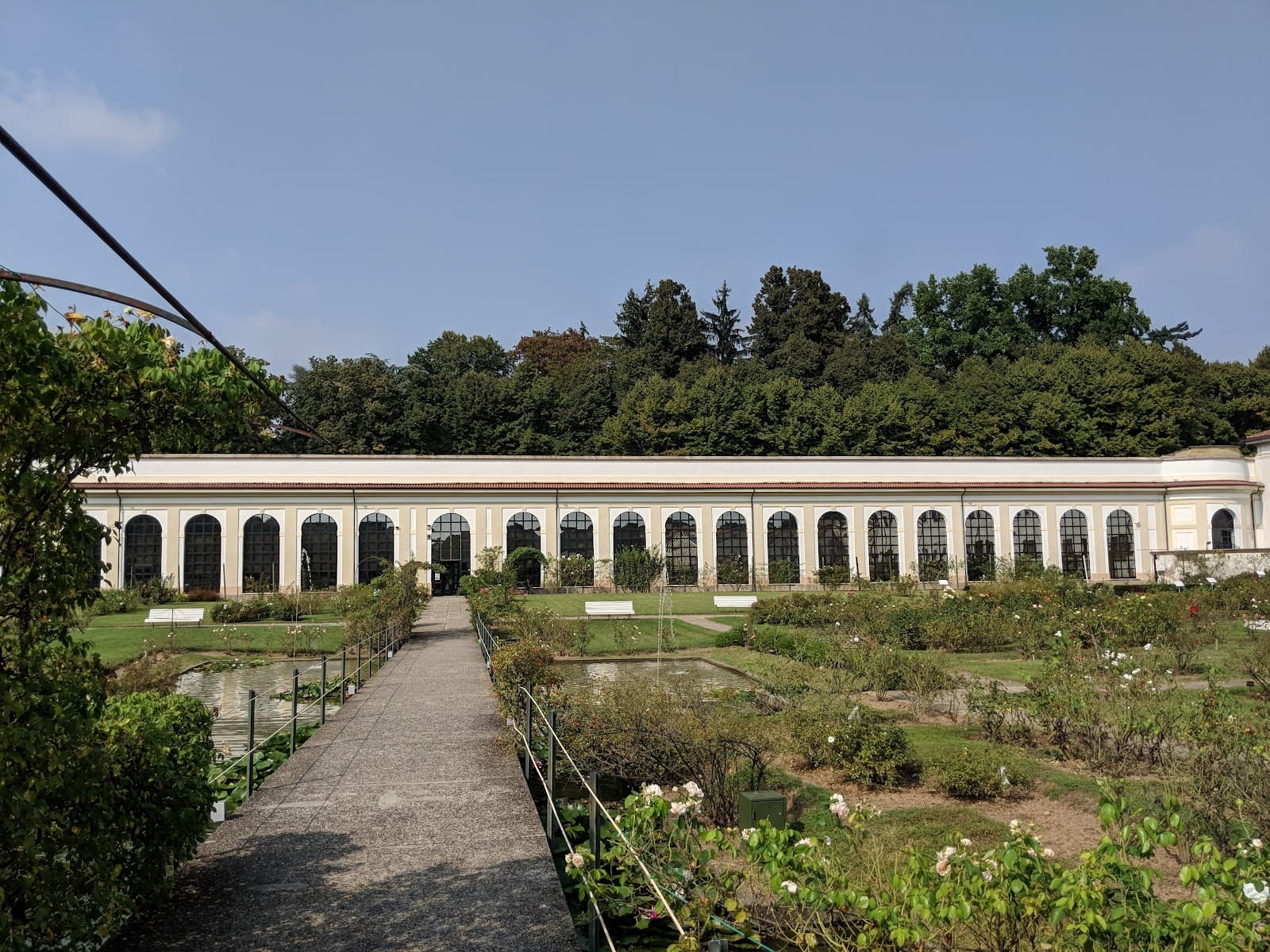 Serrone della Villa Reale - Image 1