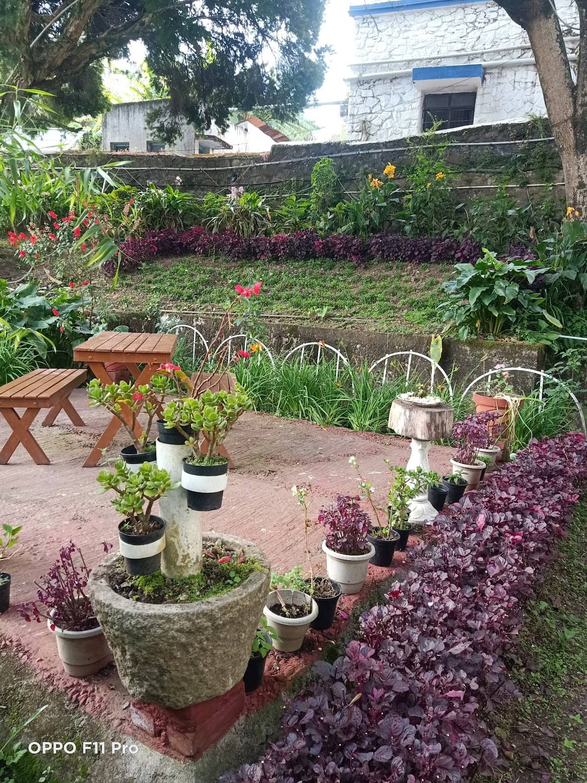 Affordable Accommodation