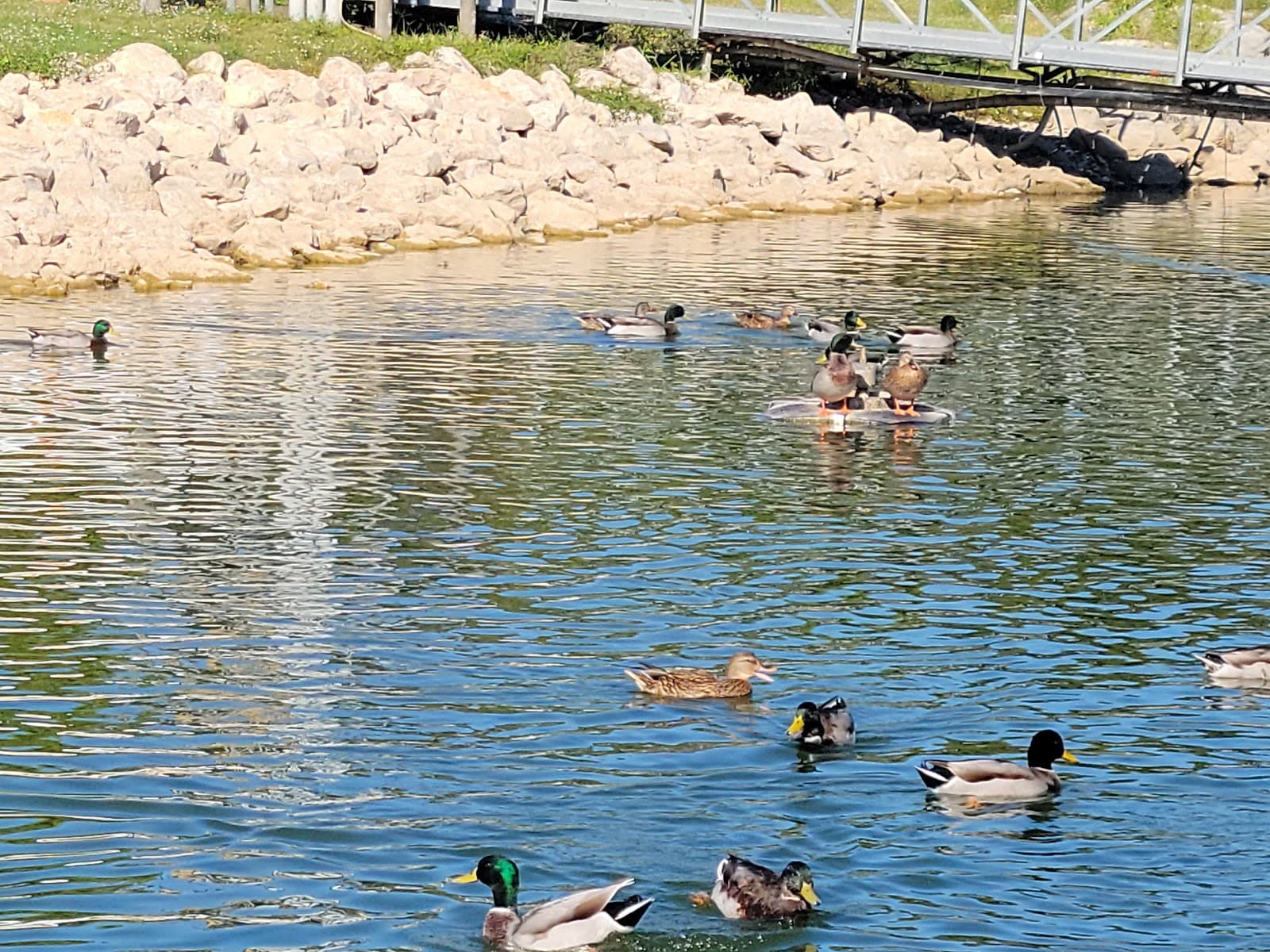 Lynn Creek Marina - Image 1
