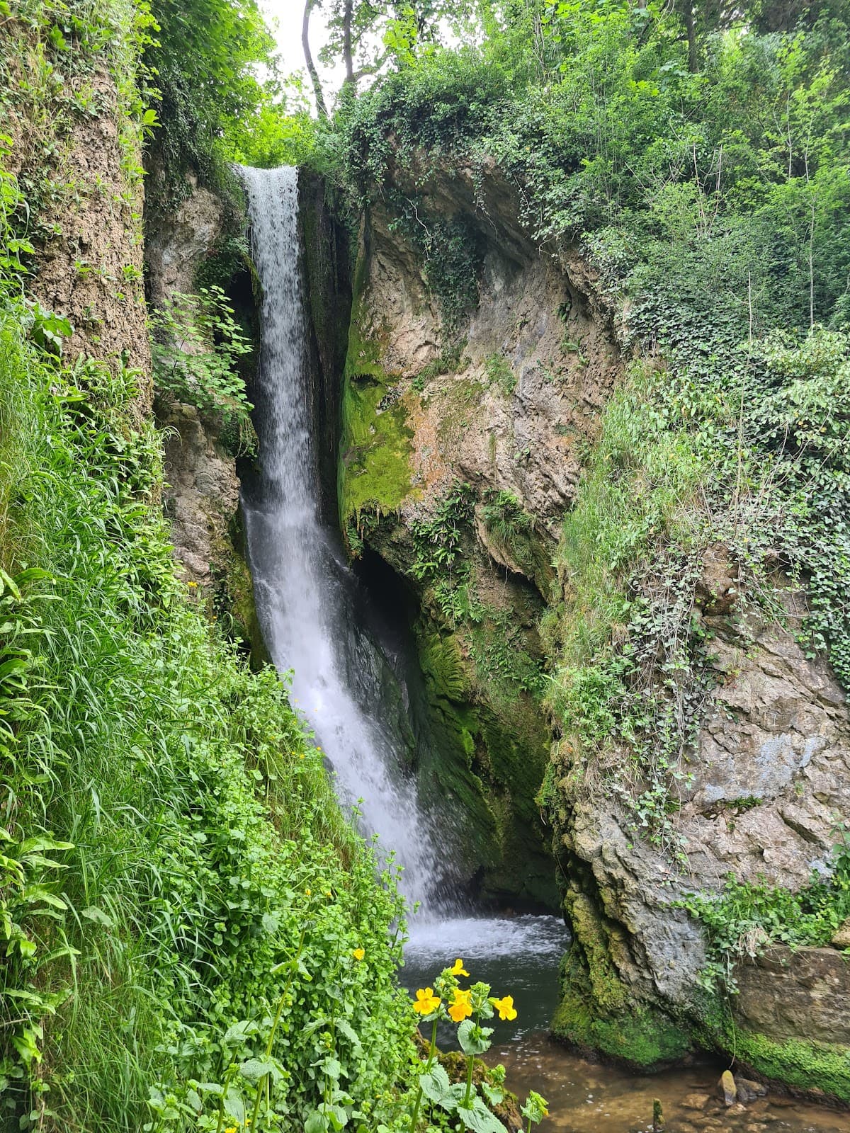 Dyserth Waterfall - Image 1