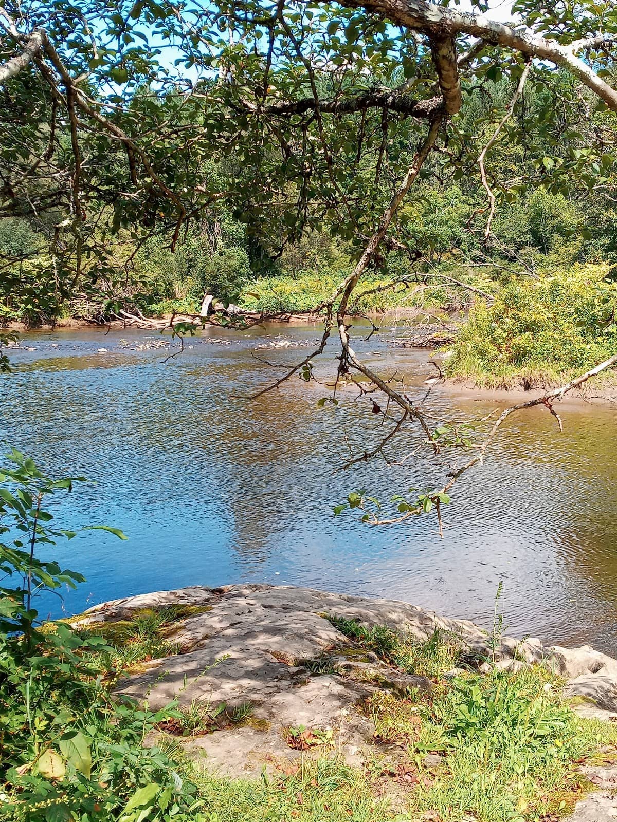 Accessible Walking Trails