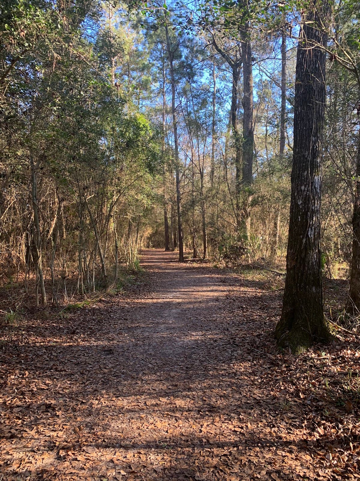 George Mitchell Nature Preserve - Image 1