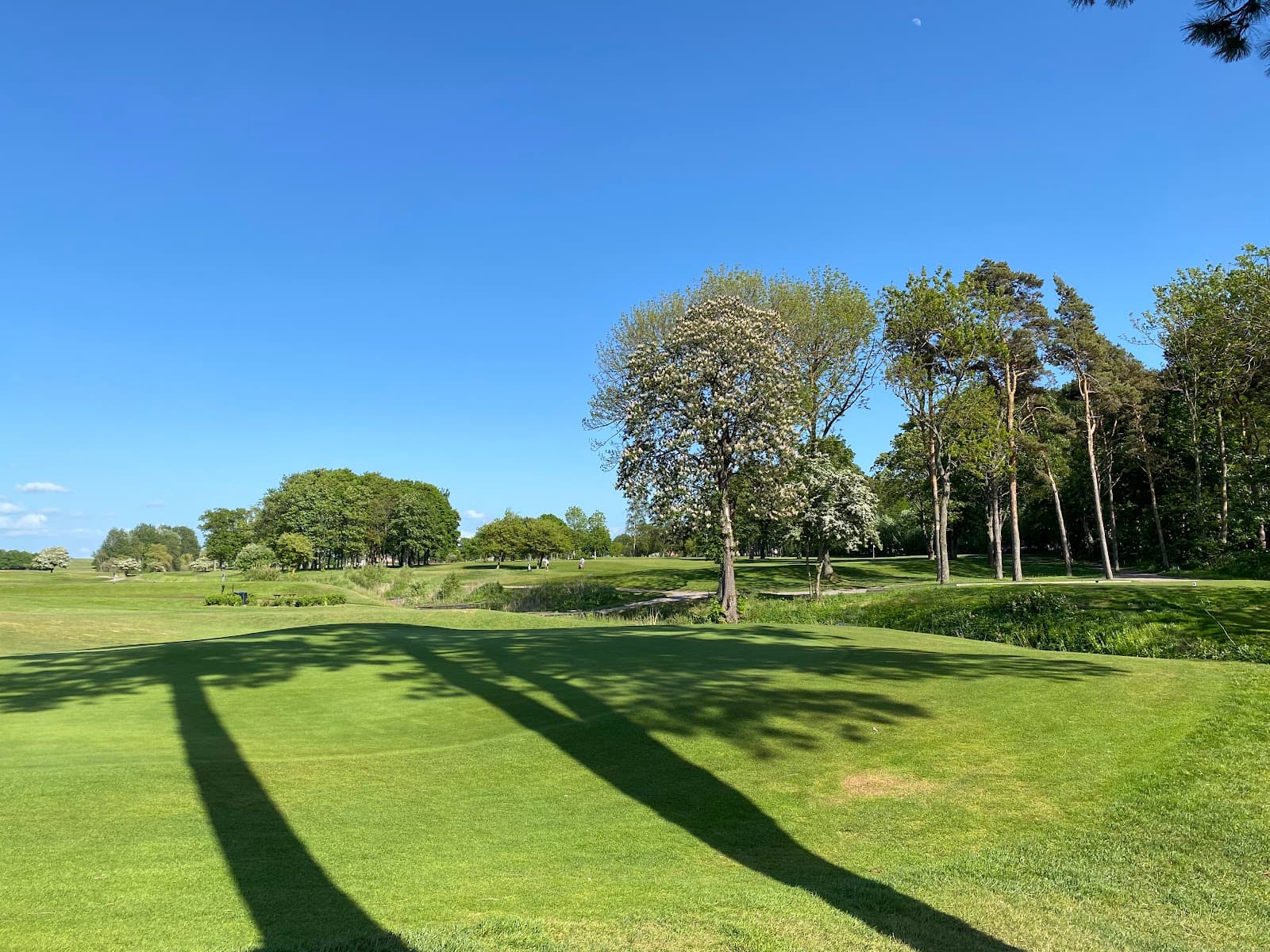 Landskrona Golf Club - Image 1