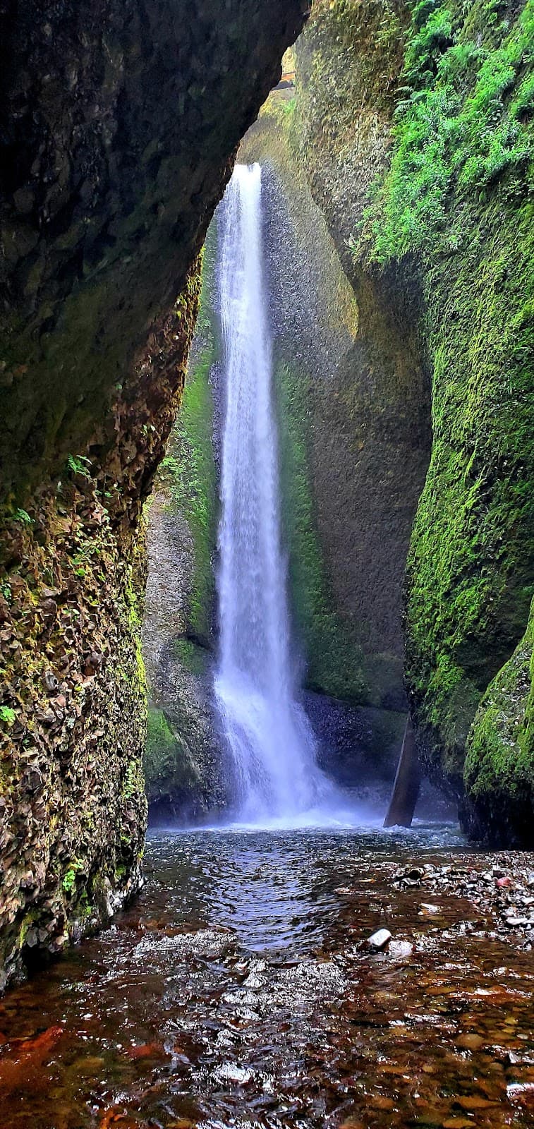 Oneonta Gorge - Image 1