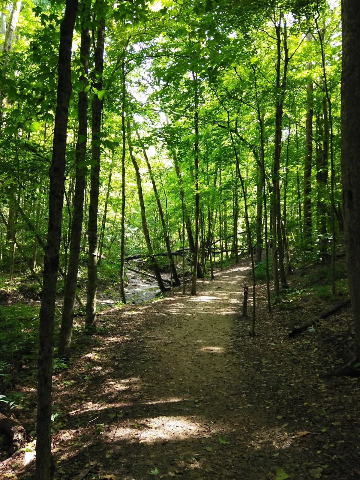 Hampton Hills Metro Park - Image 1