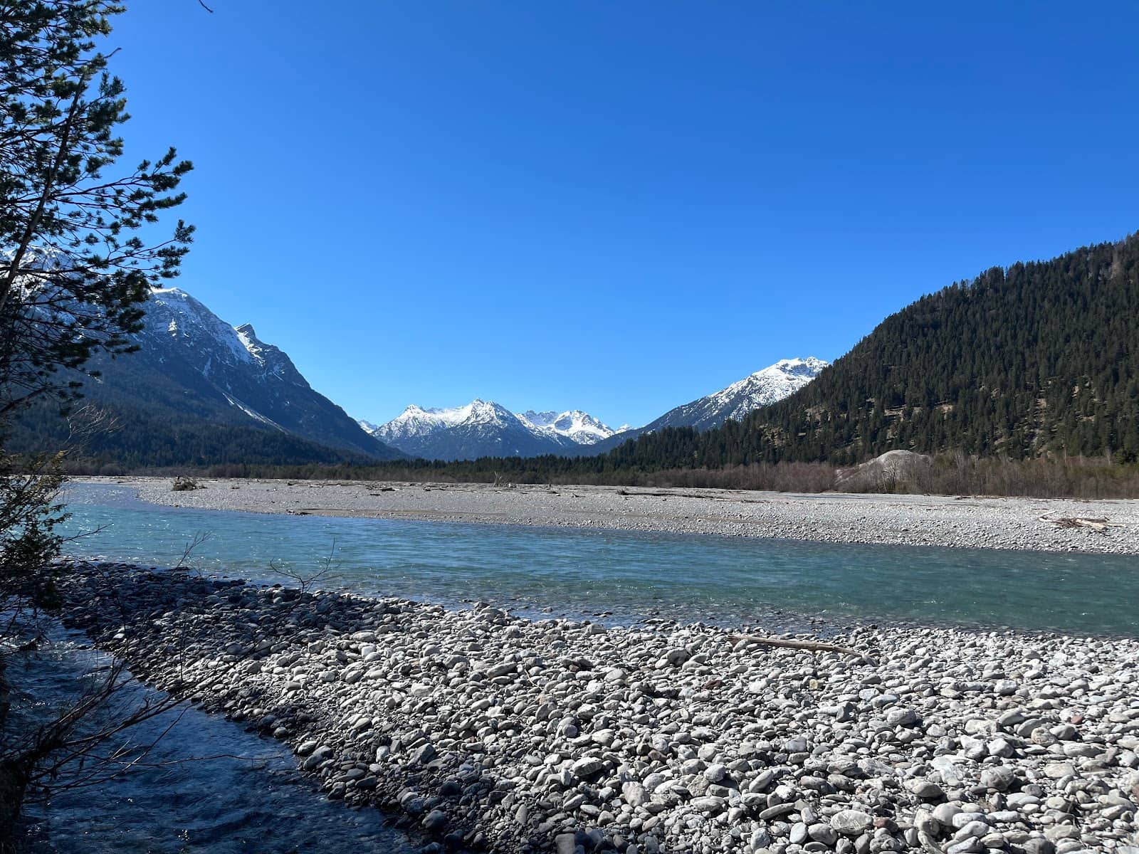 Alpine Meadows & Wildlife