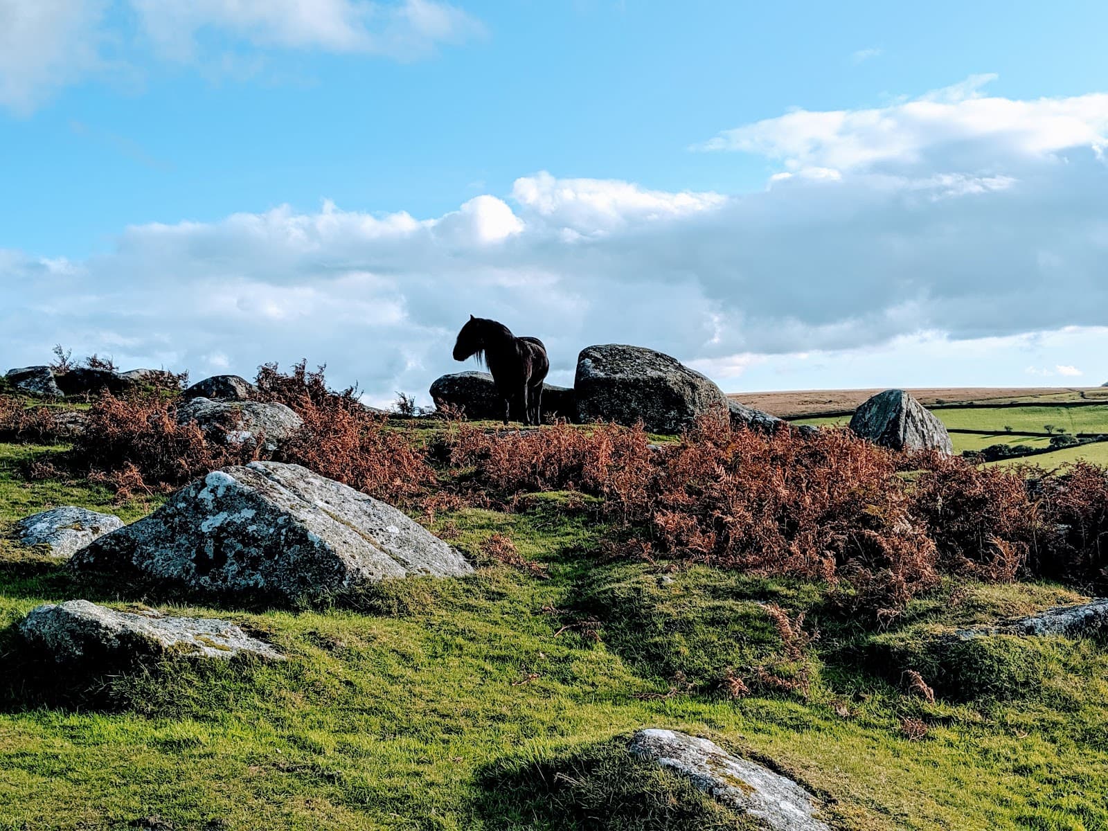 Sheeps Tor Dartmoor - Image 1
