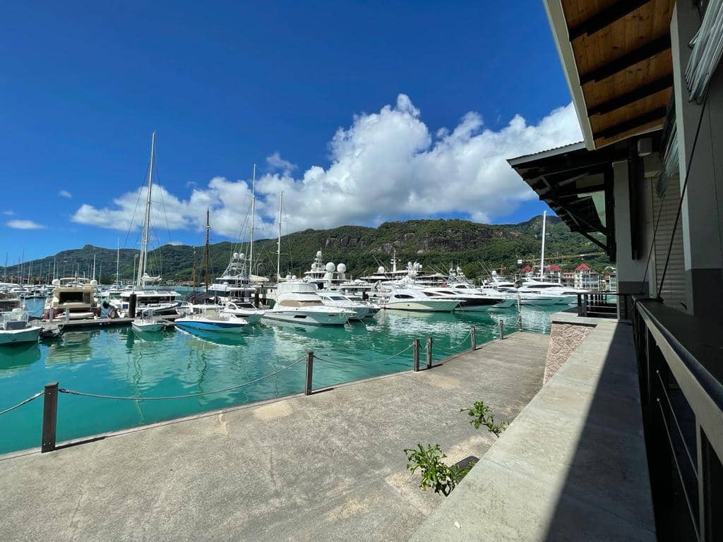 Marina Views & Dining