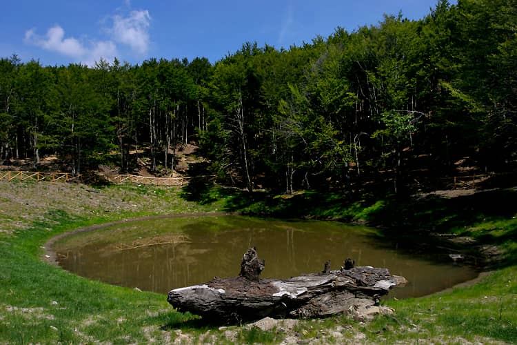 Capo d'Arno Spring