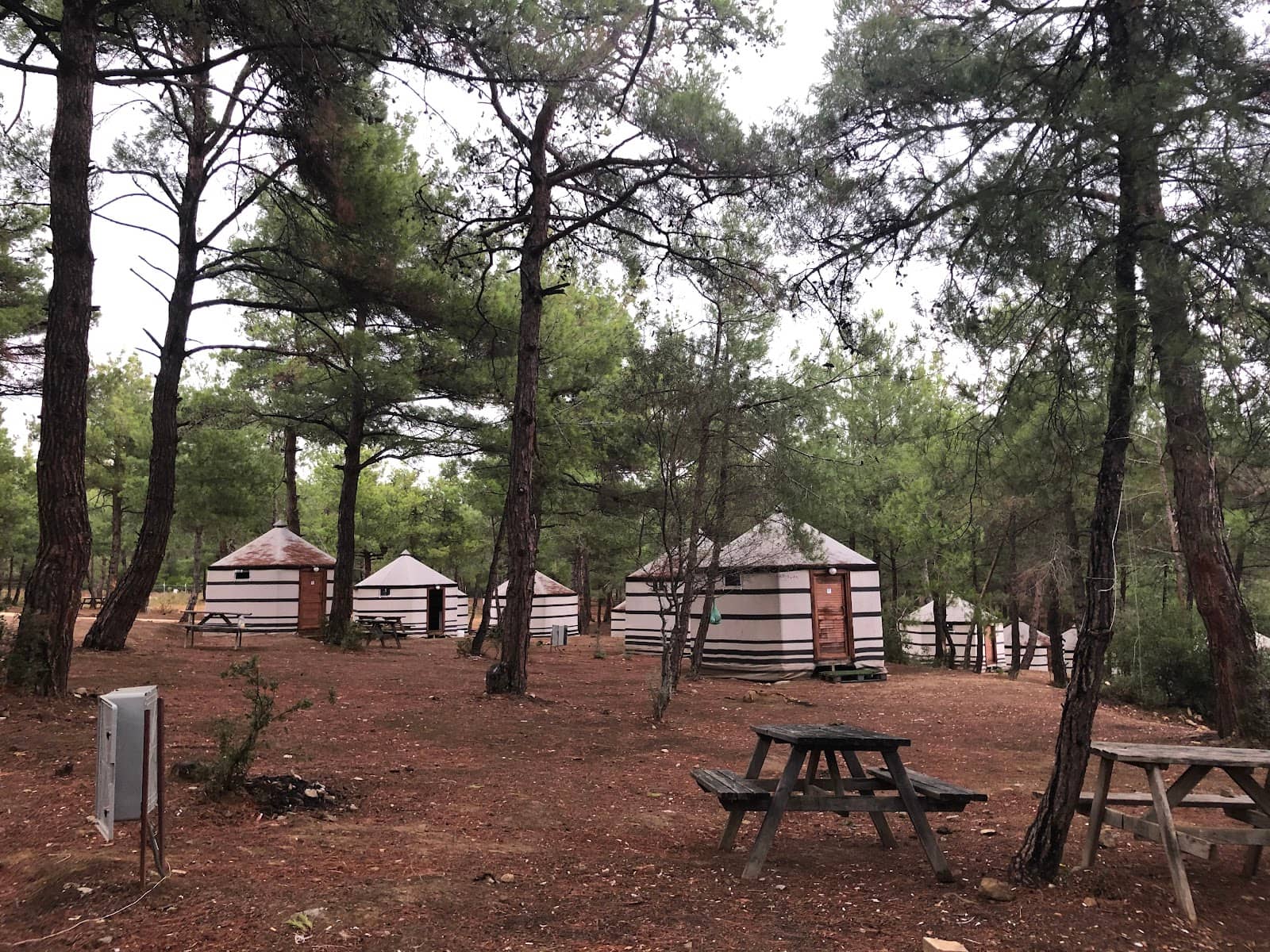 Boardwalk and Beach Access