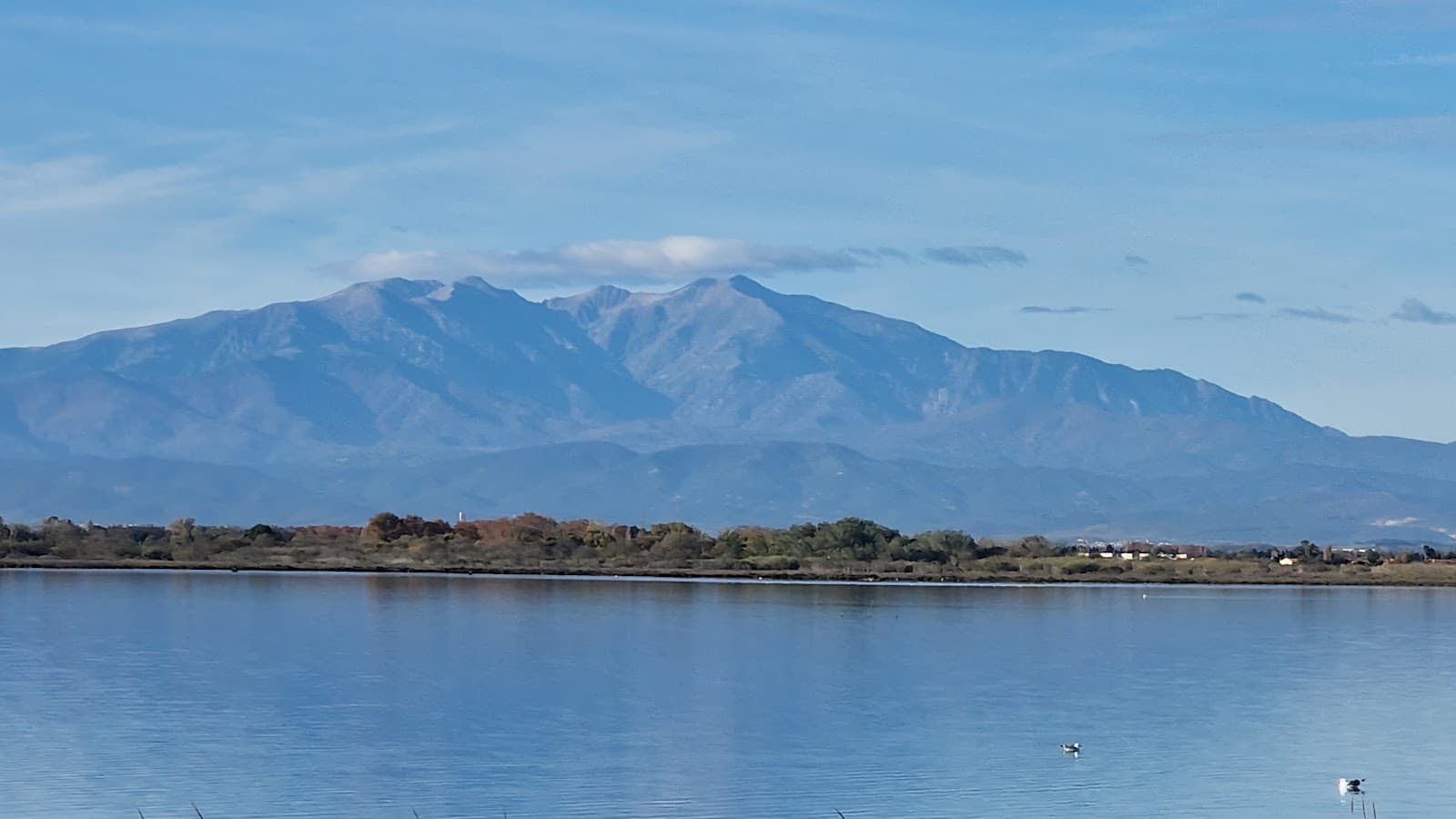 Etang de Canet–Saint-Nazaire Reserve - Image 1