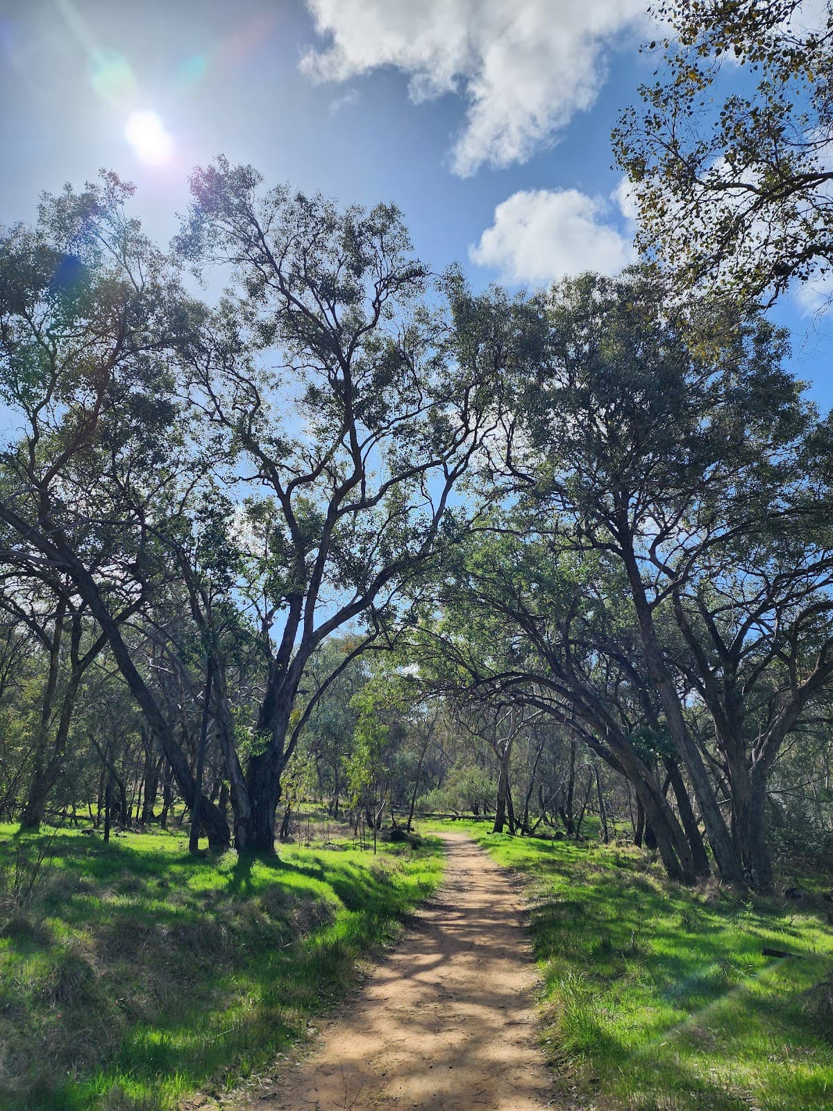 Nail Can Hill - Image 1