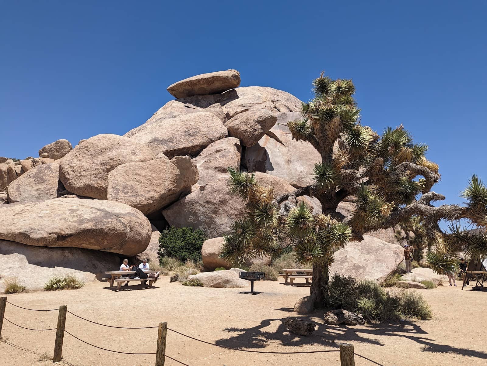 Golden Hour Photography