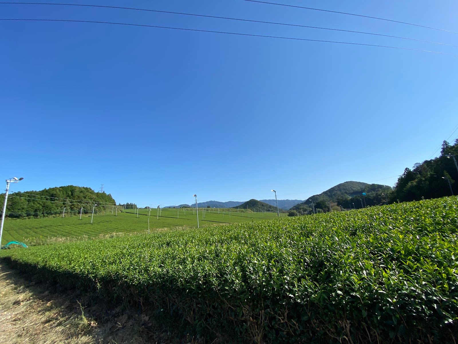 Kiriyama Tea Fields (Iitaka) - Image 1